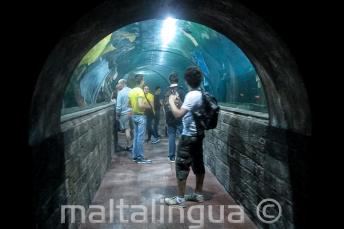 Malta nationaal aquarium
