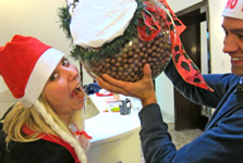 Maltesers Competitie