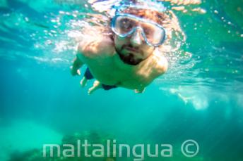 Een student snorkelen