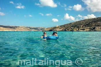 Taal scholieren zwemmen in de Blue Lagoon in Comino