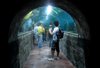 Malta nationaal aquarium